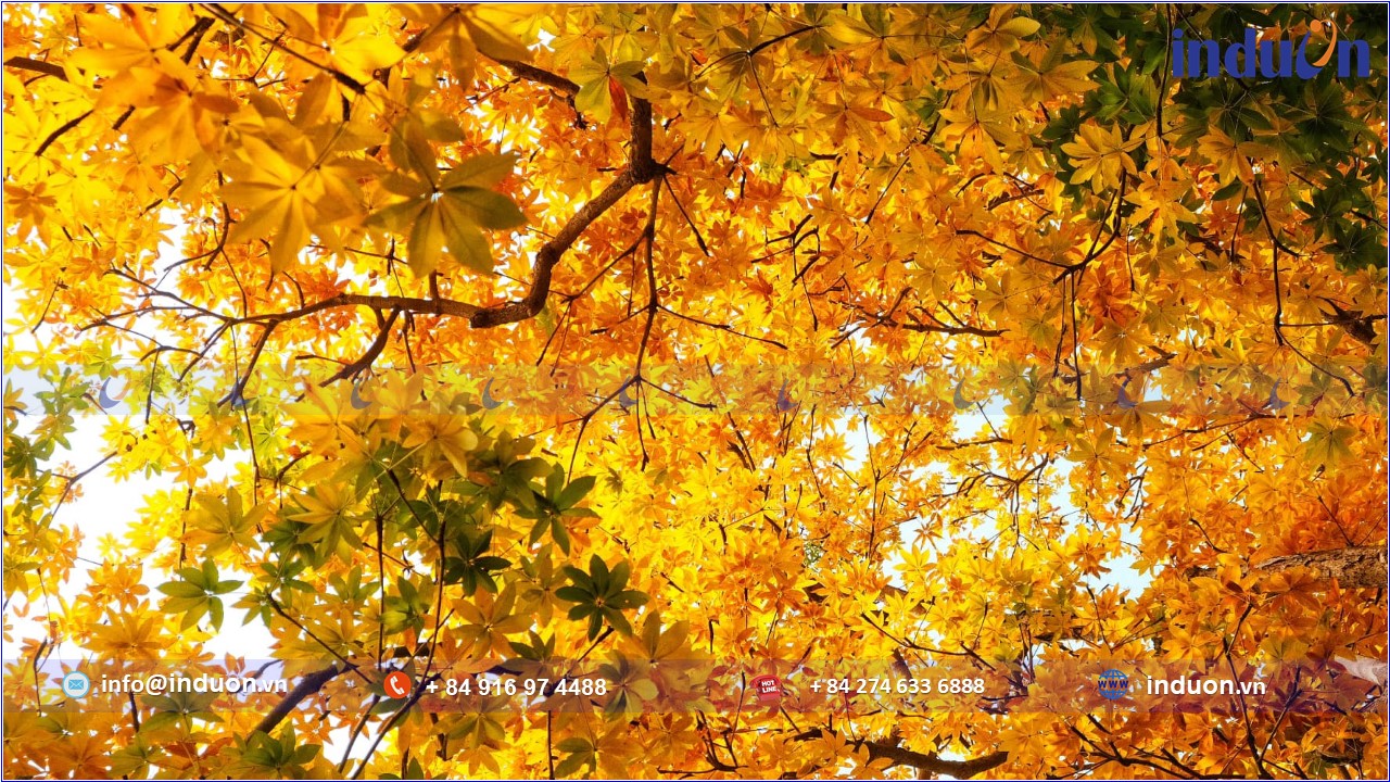 Thủ Đô Hà Nội 03