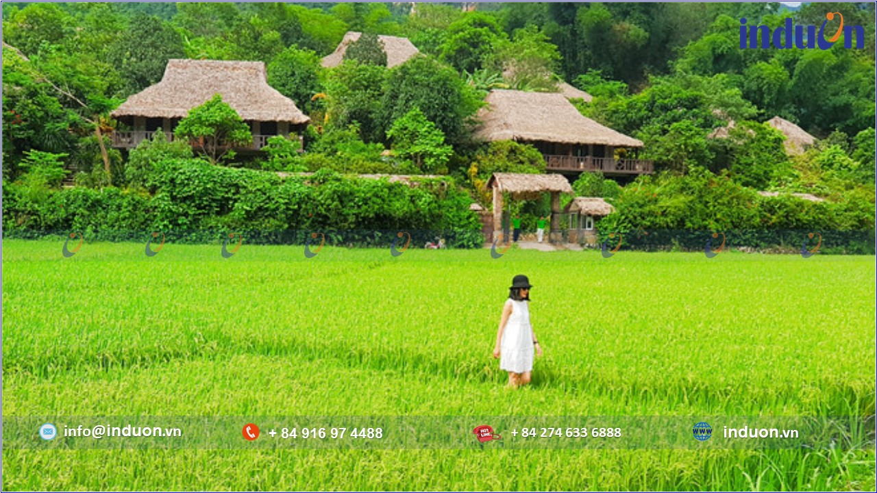 Tỉnh Hòa Bình 04