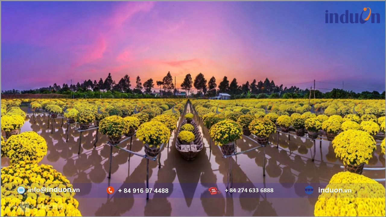 Tỉnh Đồng Tháp 4